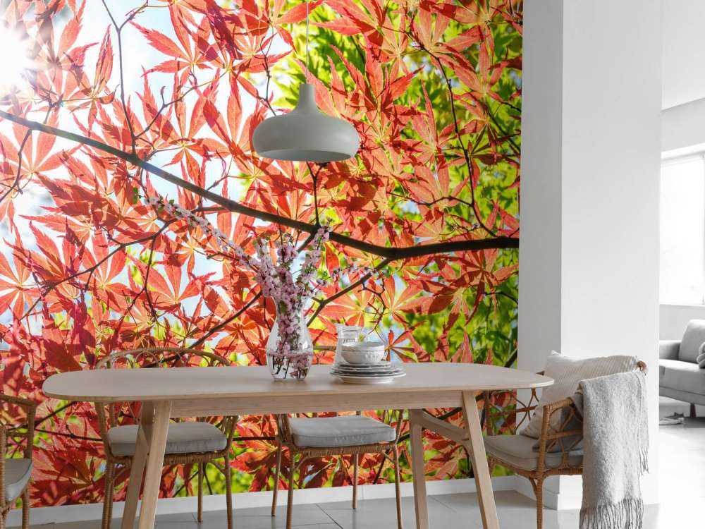 Red autumn leaves