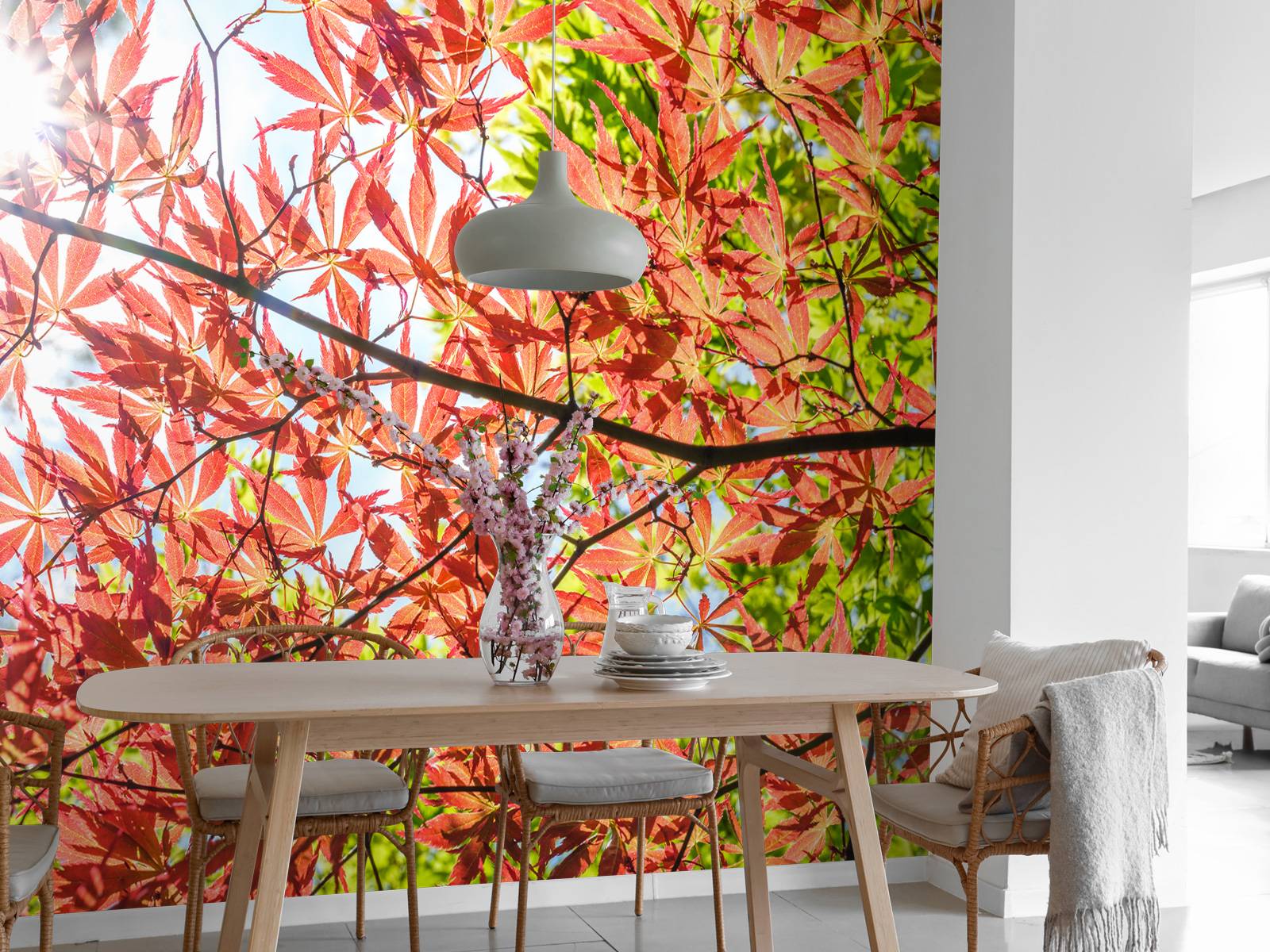 Red autumn leaves