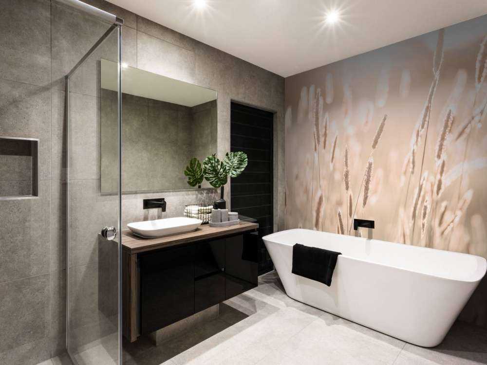 Sunlight through meadow