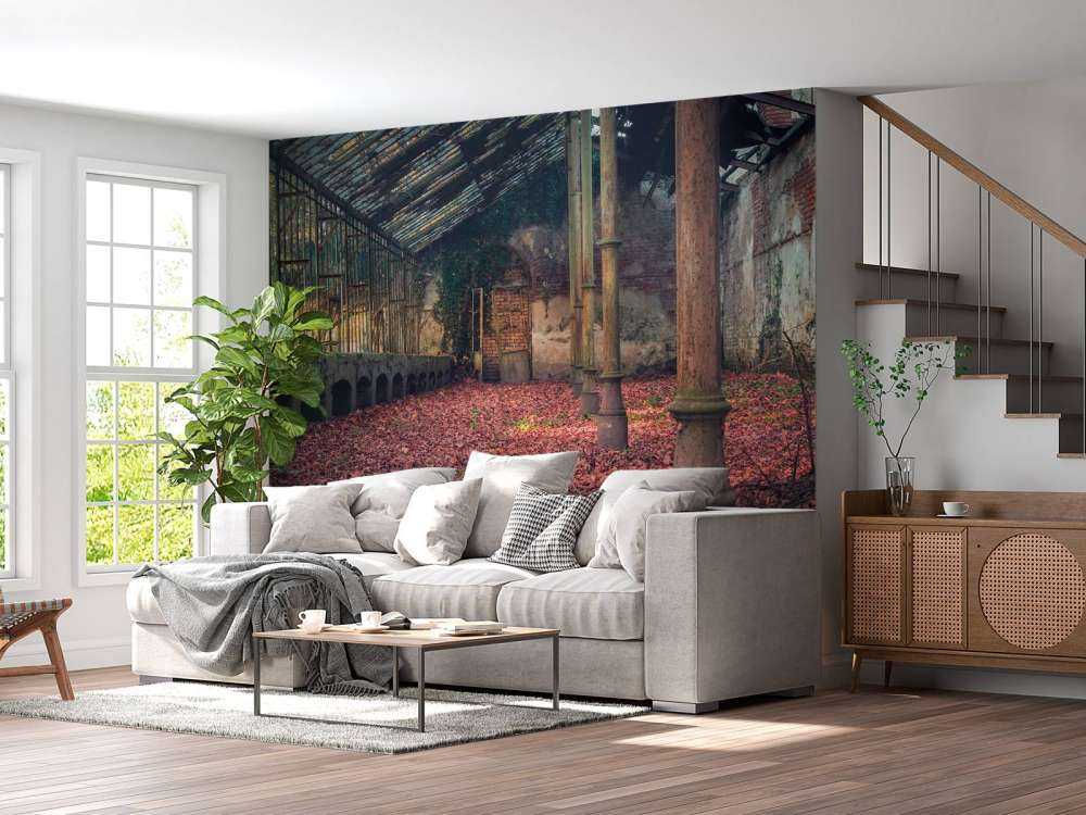 Abandoned house with leaves