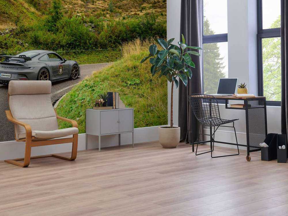 Sports car in mountain mist