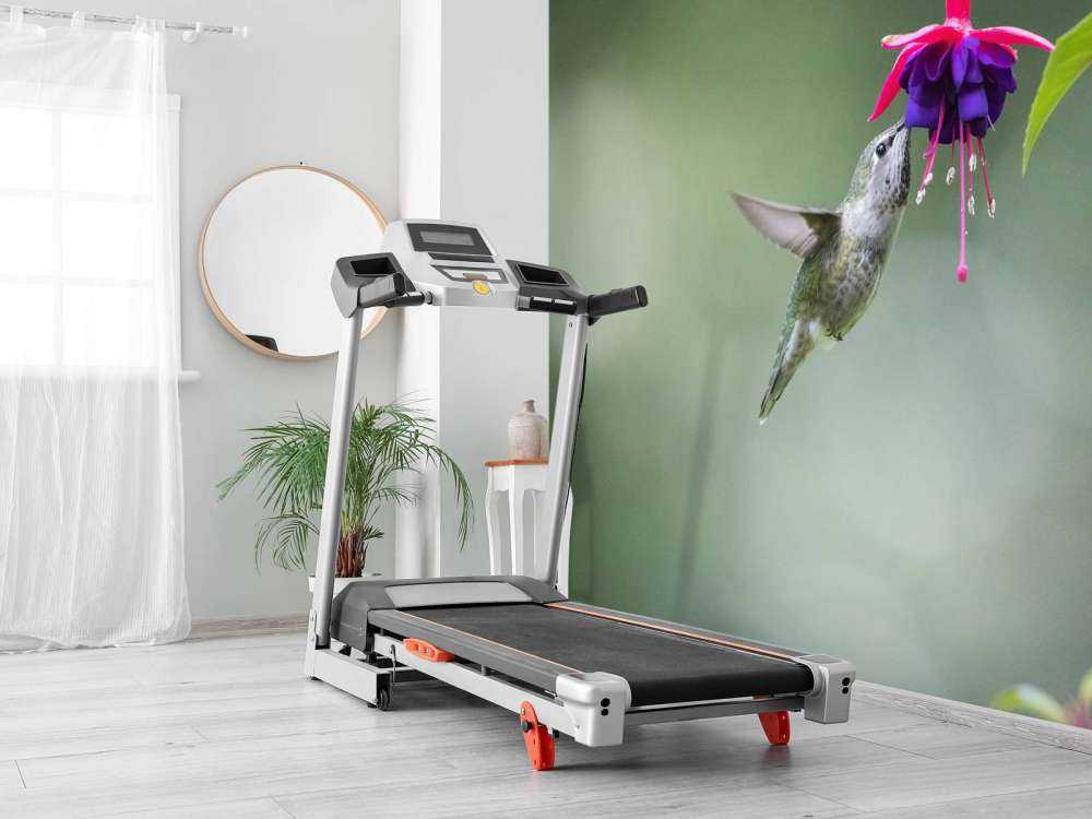 Hummingbird drinking