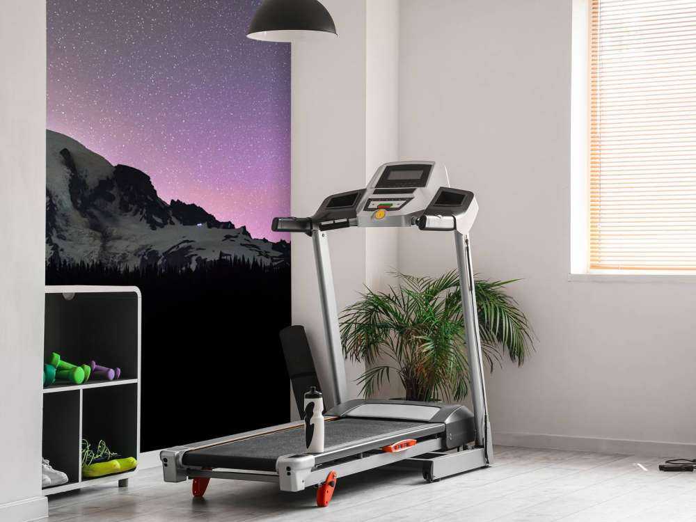 Mount Rainier with northern lights