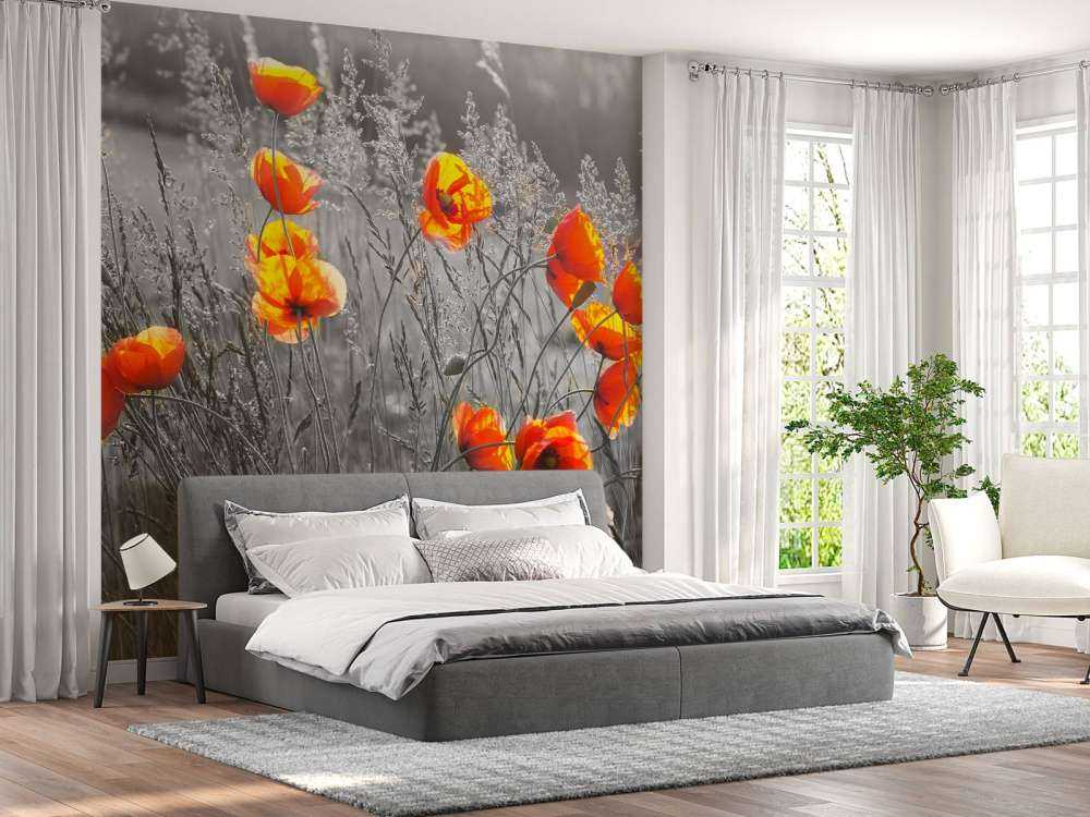 Oranje klaprozen met een zwart-witte achtergrond