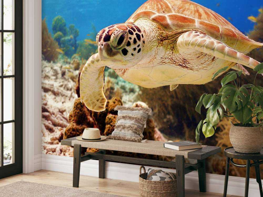 Groene zeeschildpad aan het zwemmen