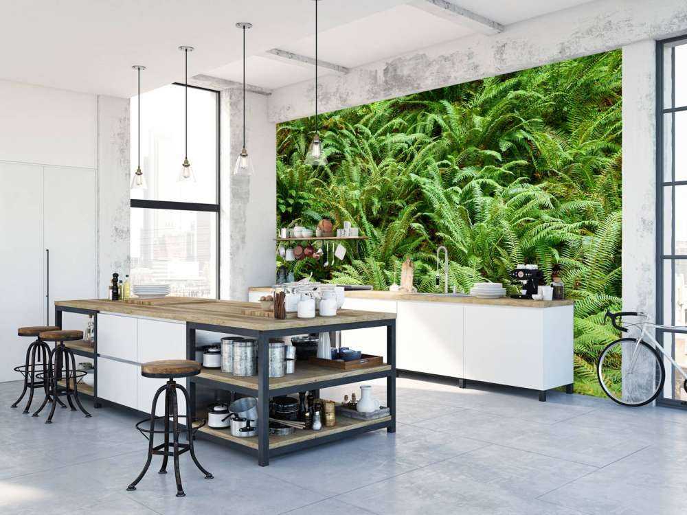 Green ferns