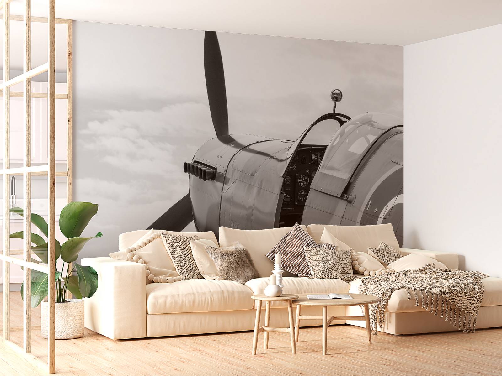 Old fighter plane