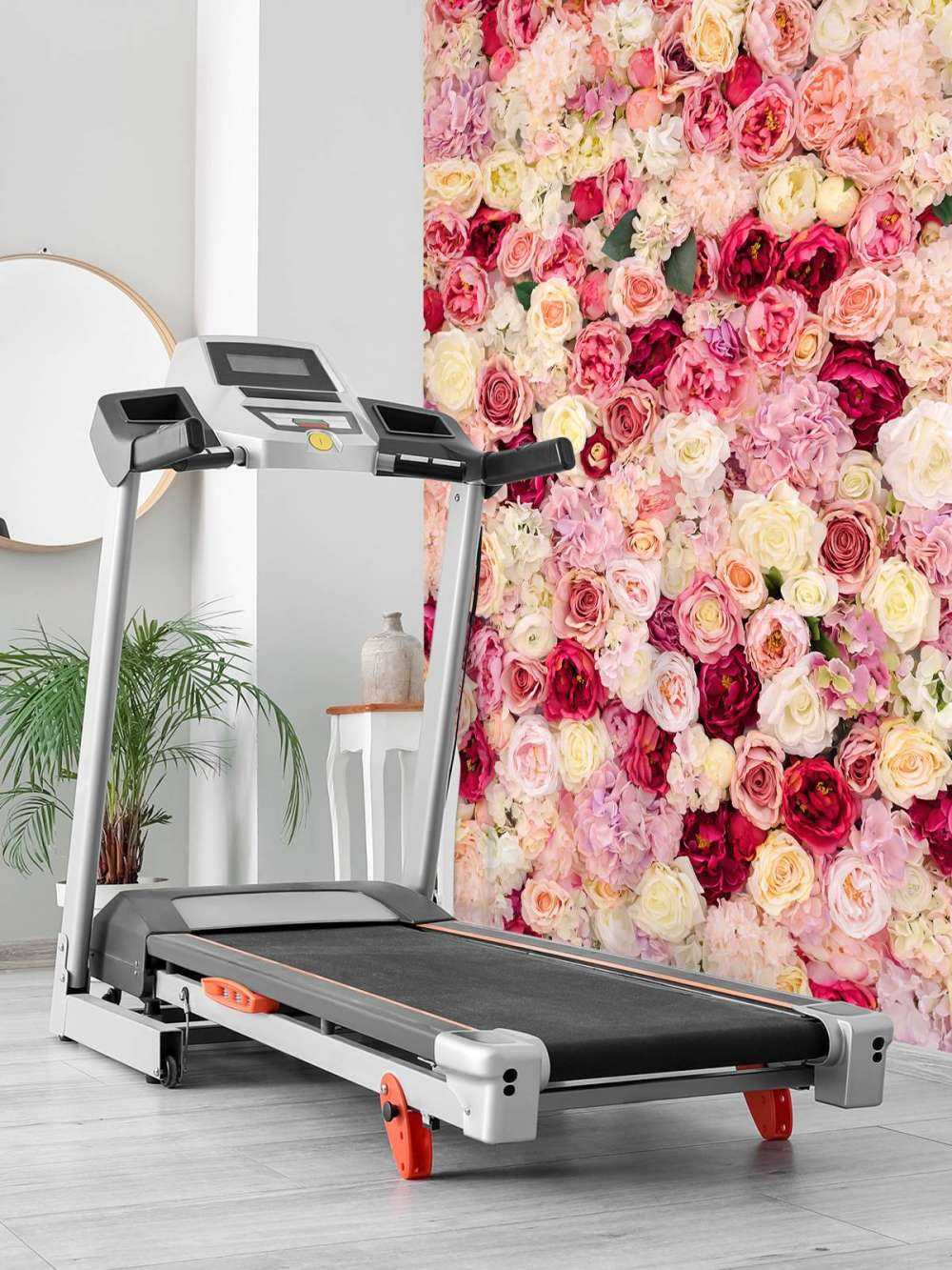 Roses fantasy