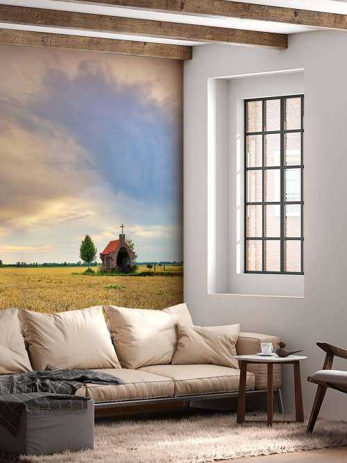 Grain field
