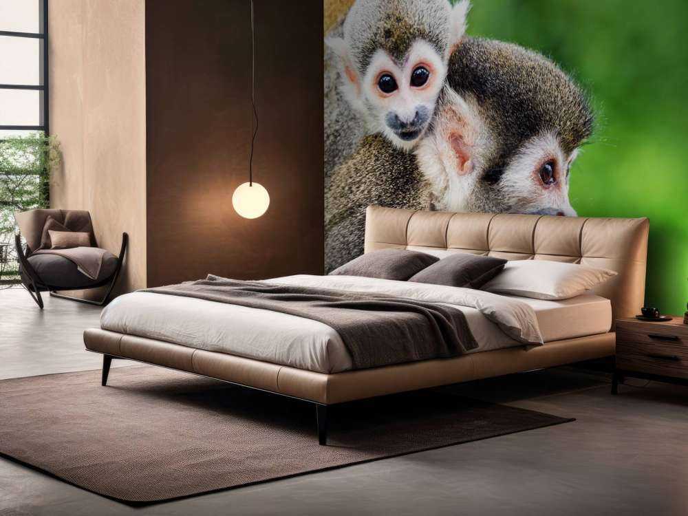 Squirrel monkeys