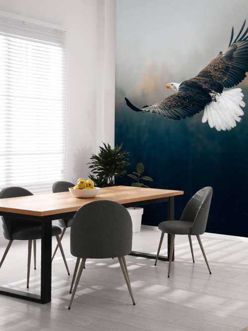 Bald eagle above the forest