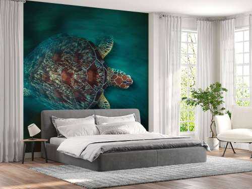 Vaclocity Turtle