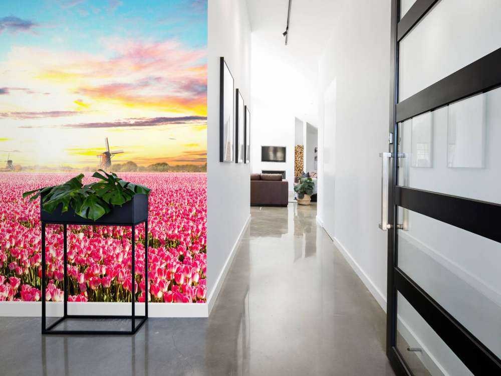 Hollands roze tulpenveld