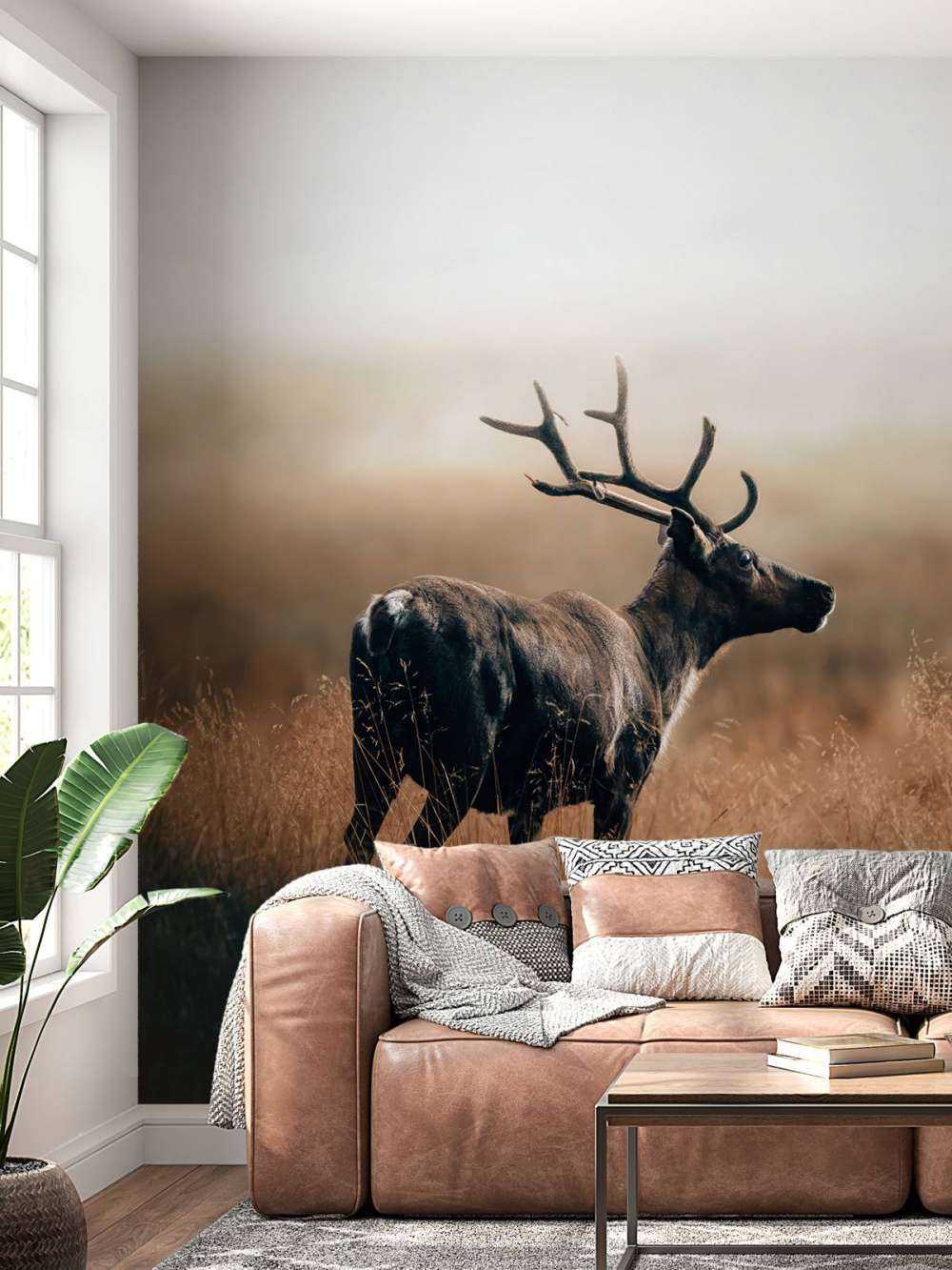 Reindeer in the high grass