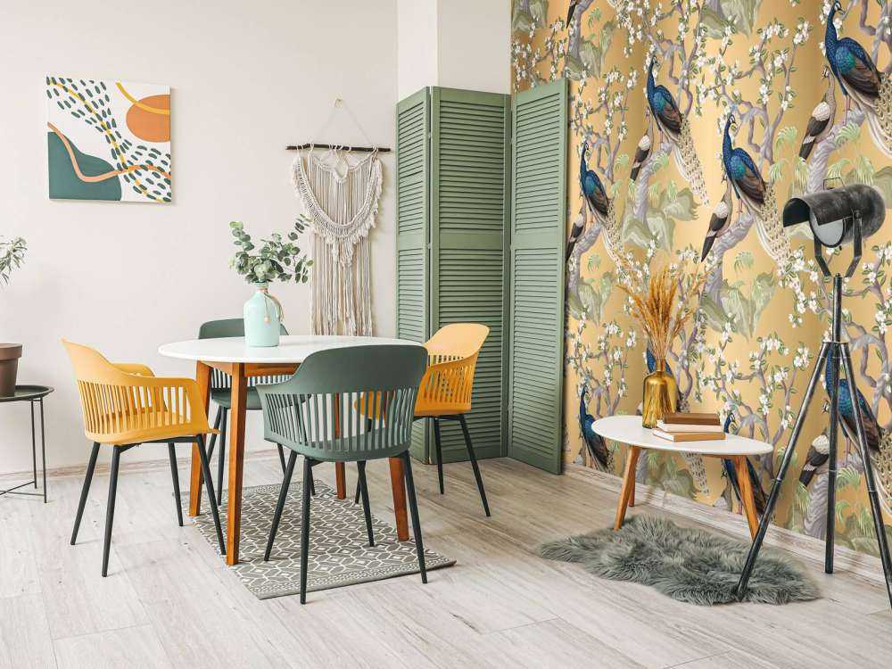 Peacock Whisper in Oasis