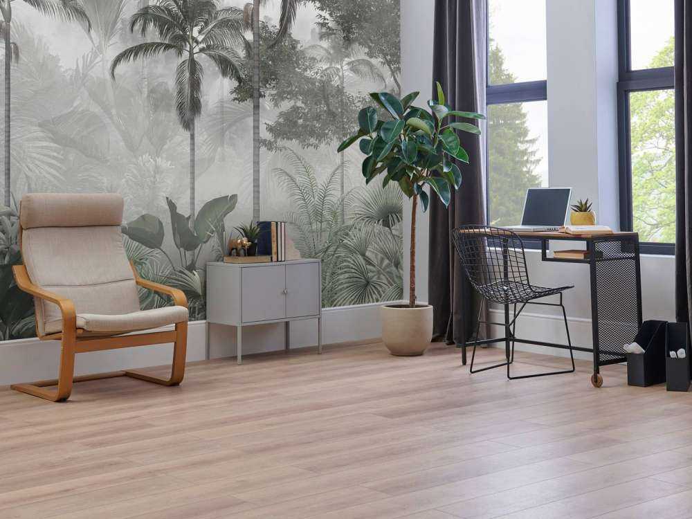 Misty Palm Grove
