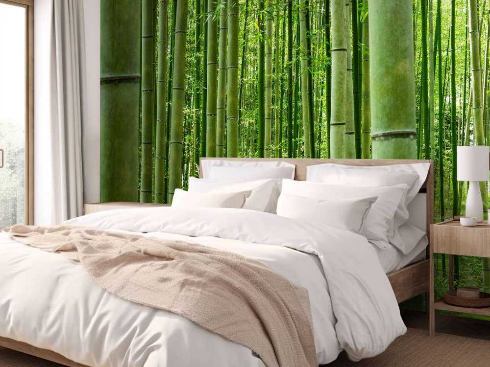 In the middle of the bamboo forest