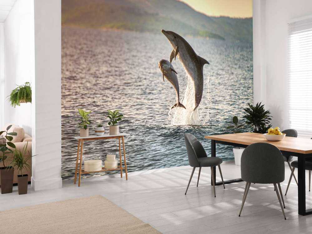 Two jumping dolphins