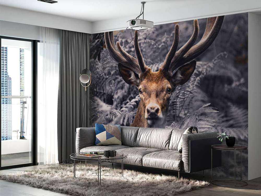 Close-up deer