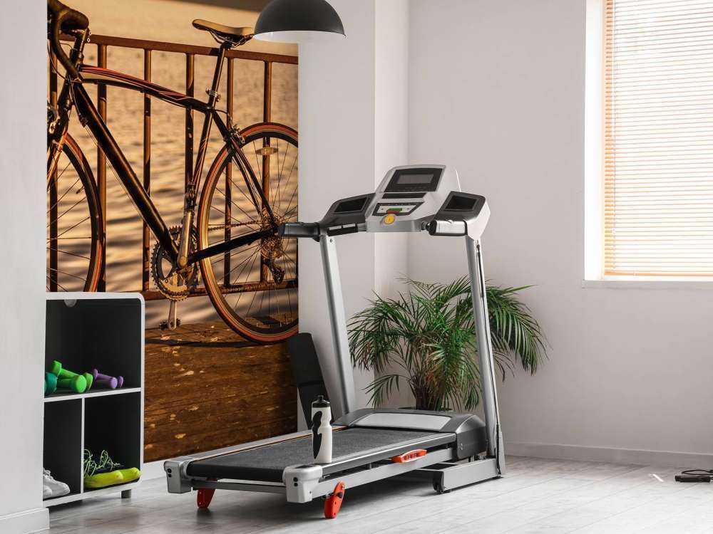 Racing bike by the water