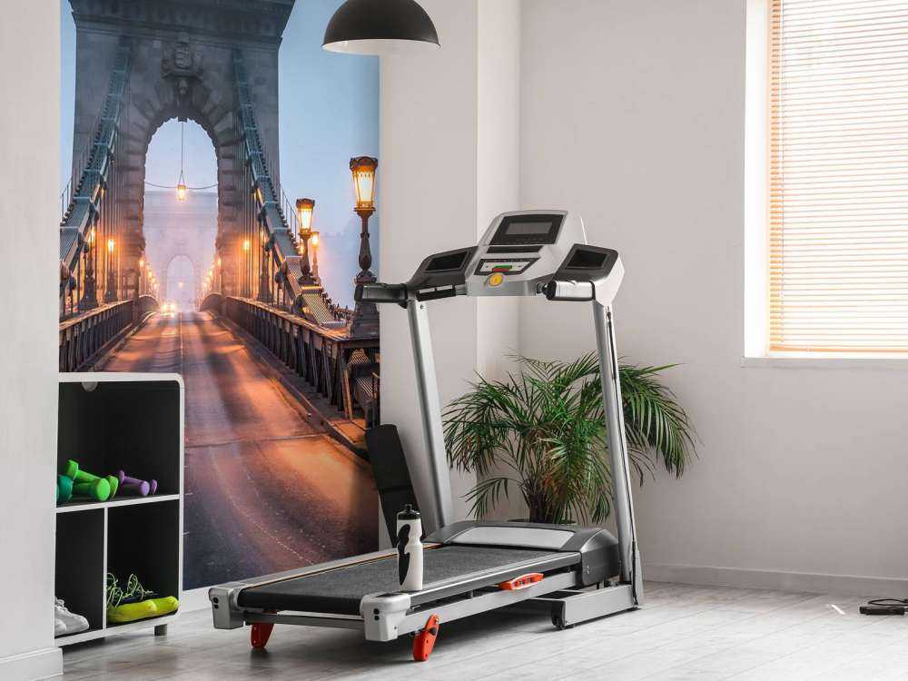 Chain bridge in Budapest