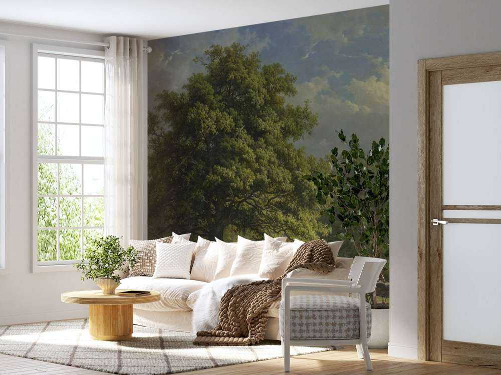 View of the Bentheim forest
