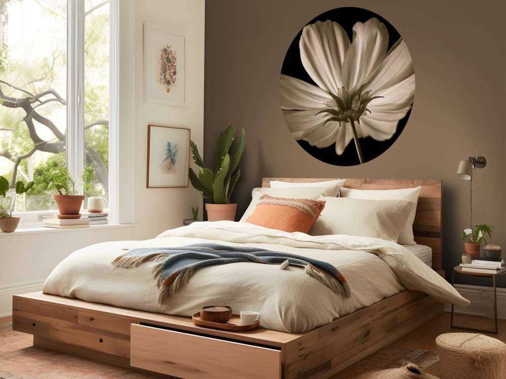 Cosmos flower from below