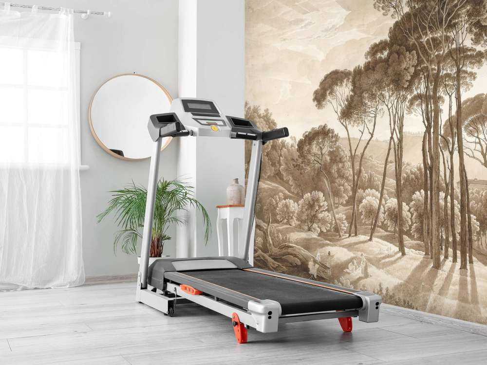 Forest landscape near Rome with setting sun