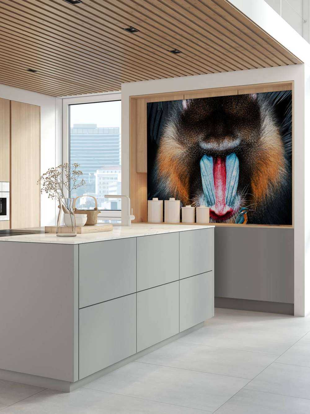 Mandrill Portrait