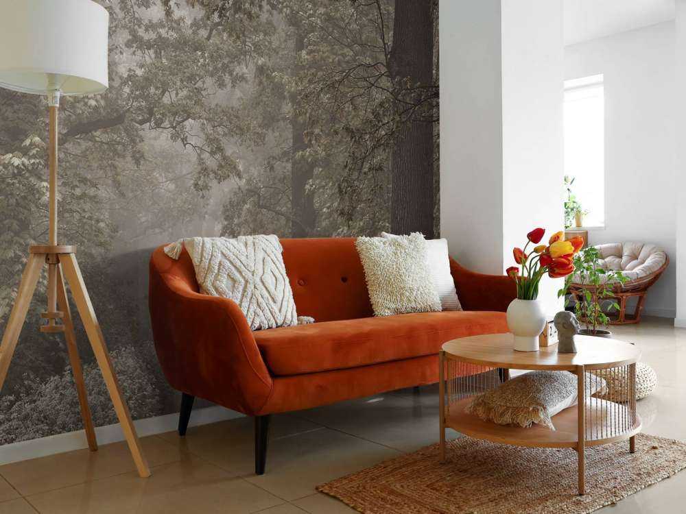 Path through misty forest