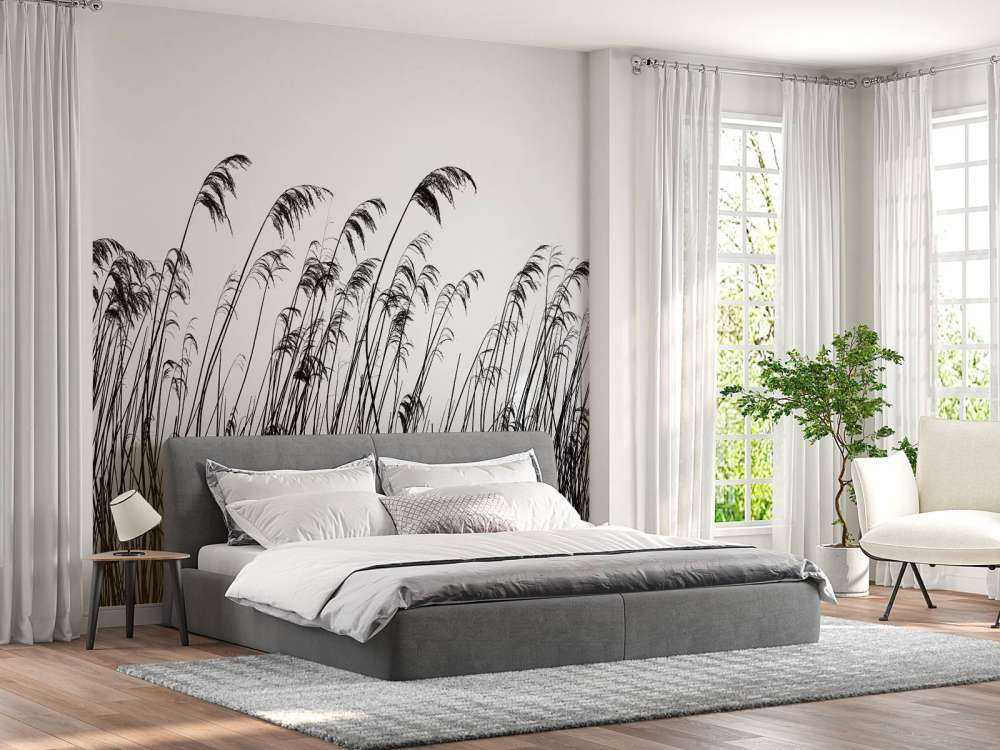 Reed along the waterfront in black and white