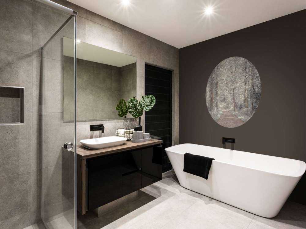 A path through a green forest