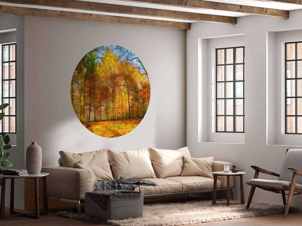 Colorful forest panorama