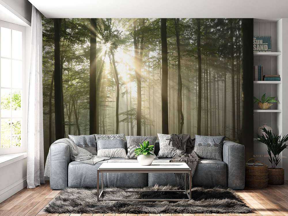 Autumn deciduous forest