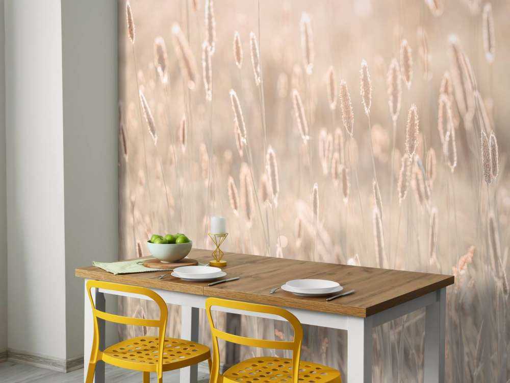 Meadow during the sunset