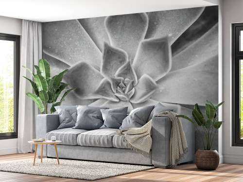Succulent