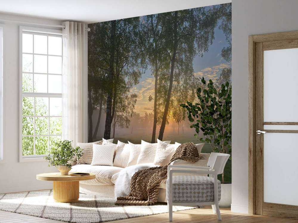 Sunrise by the birches