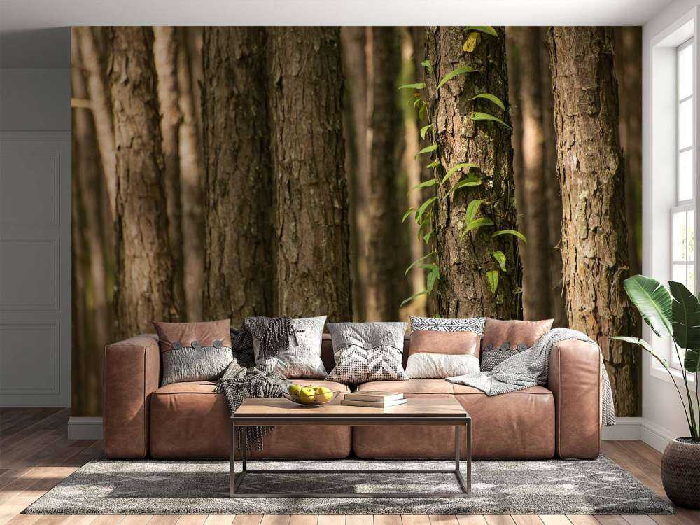 Thin tree trunks