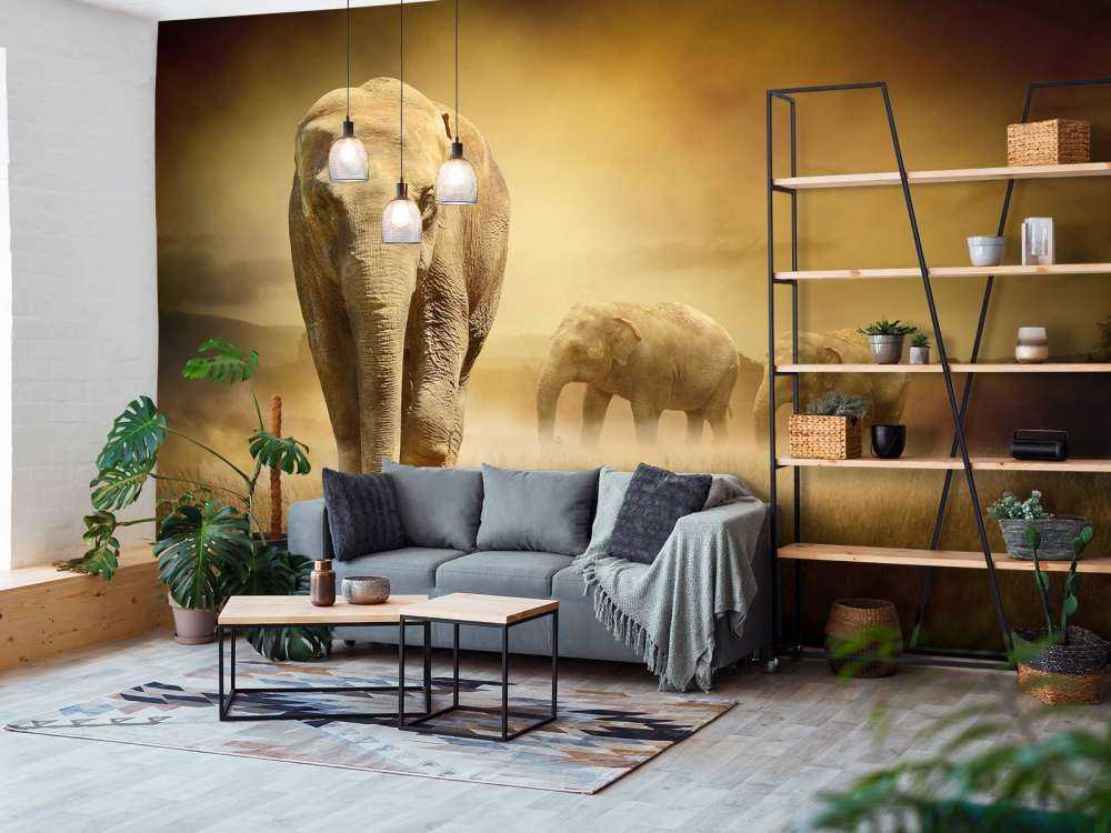 Three elephants