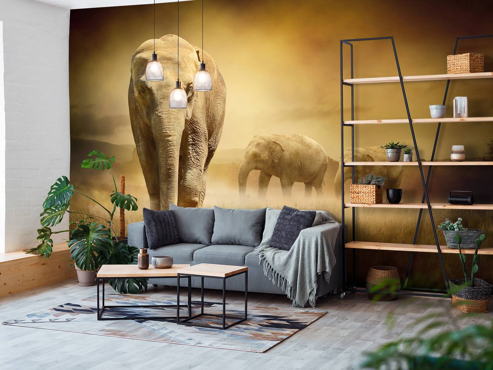 Three elephants