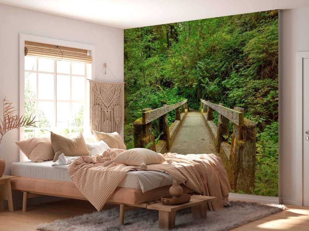 Bridge in the forest