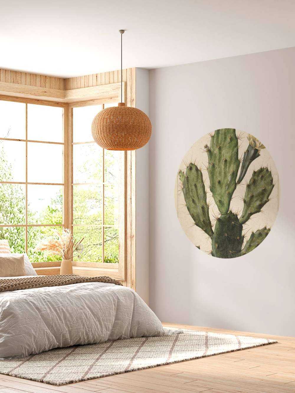 Flowering fig cactus