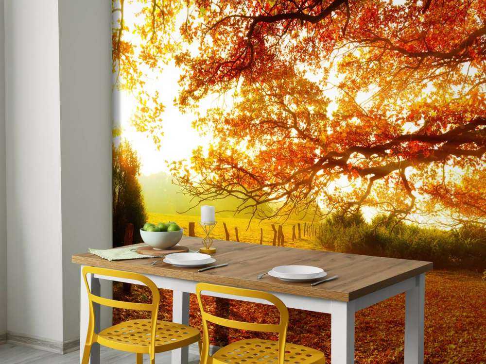 Autumn landscape with forest and meadow