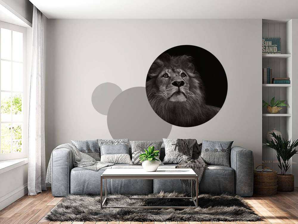 Lion on a black background