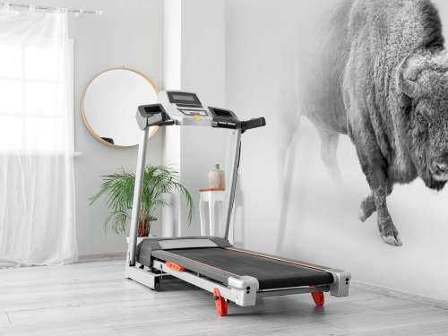 Bison black, white