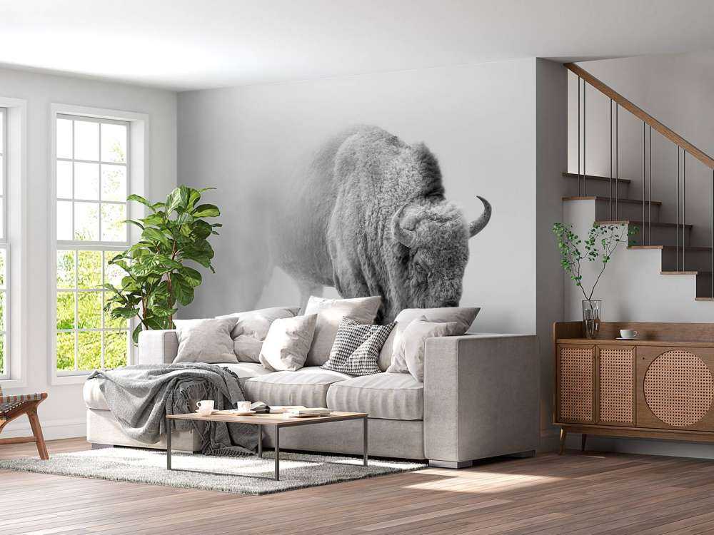 Bison black, white
