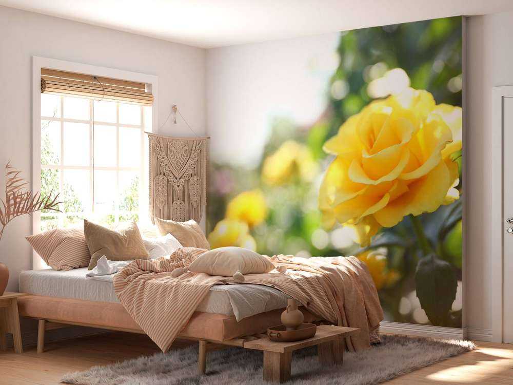 Yellow roses