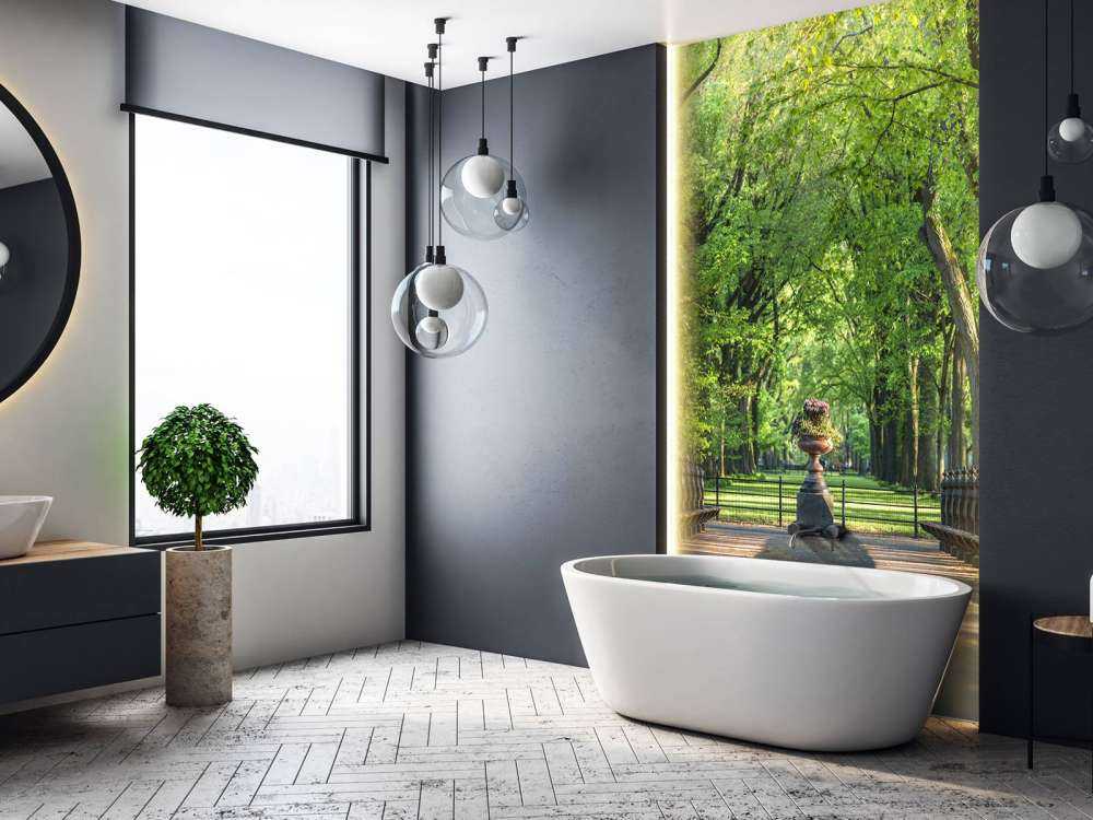 Path in Central Park