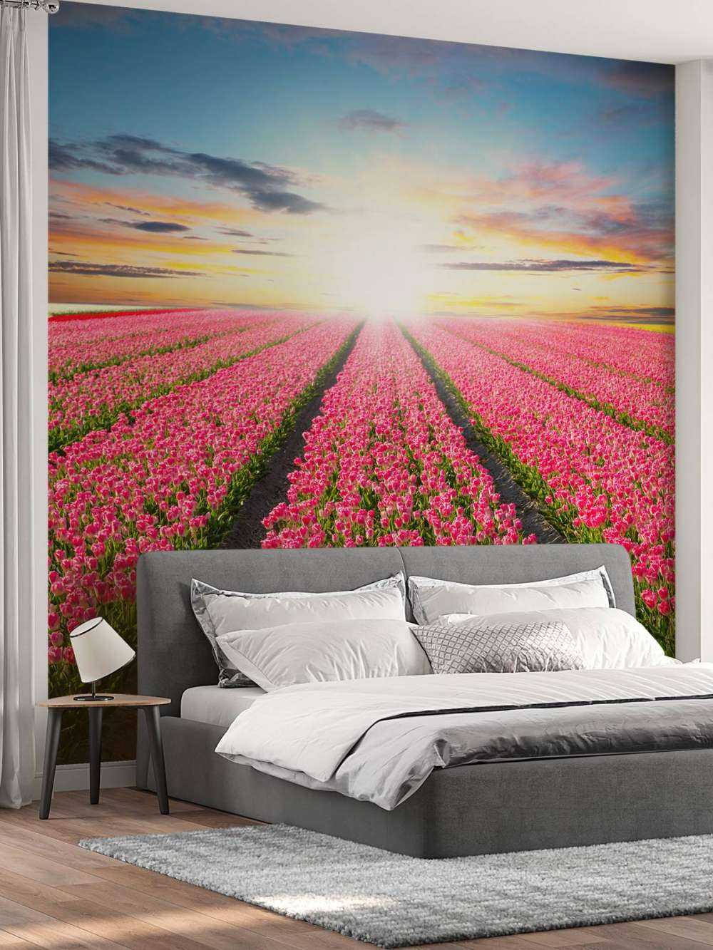 Tulips with rising sun