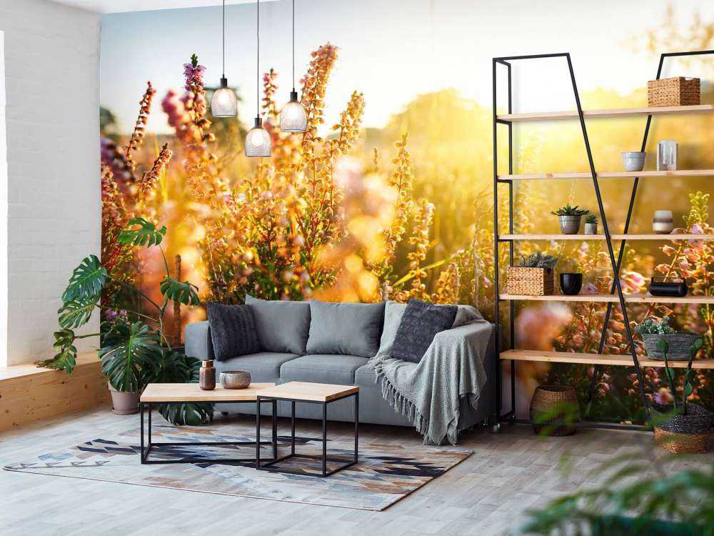 Close-up heather plant